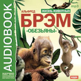 Жизнь животных. Обезьяны