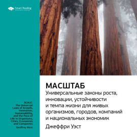 Ключевые идеи книги: Масштаб: универсальные законы роста, инновации, устойчивости и темпа жизни для живых организмов, городов, компаний и национальных экономик. Джеффри Уэст
