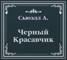 Черный Красавчик (сокращенный пересказ)