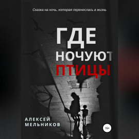 Где ночуют птицы