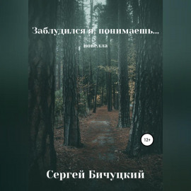 Заблудился я, понимаешь…