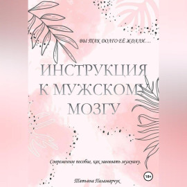 Инструкция к мужскому мозгу