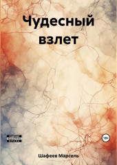 Чудесный взлет