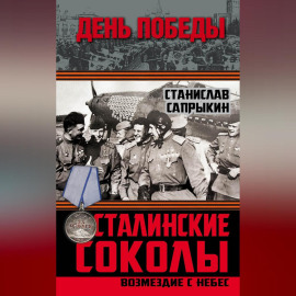 Сталинские соколы. Возмездие с небес