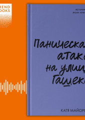 Паническая атака на улице Гашека