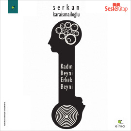 Kadın Beyni Erkek Beyni