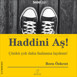Haddini Aş