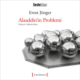 Aklını Arayan Çocuk