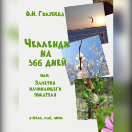 ЧЕЛЛЕНДЖ НА 366 ДНЕЙ или Заметки начинающего писателя. Часть 2