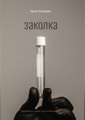 Заколка