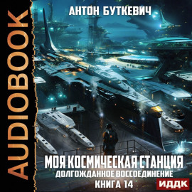 Моя Космическая Станция. Книга 14. Долгожданное воссоединение