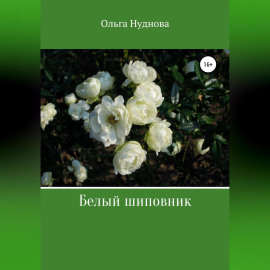 Белый шиповник