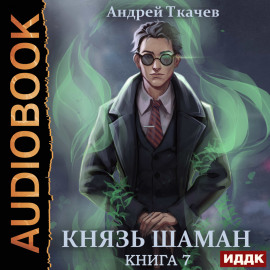 Князь шаман. Книга 7