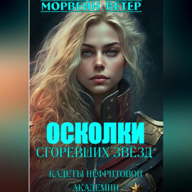 Осколки сгоревших звёзд. Книга 1. Кадеты Нефритовой Академии