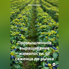 Промышленное выращивание жимолости: от саженца до рынка
