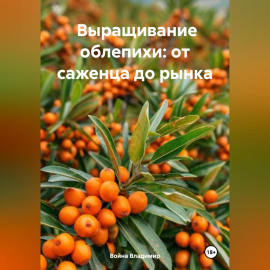 Промышленное выращивание облепихи: от саженца до рынка