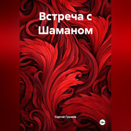 Встреча с Шаманом