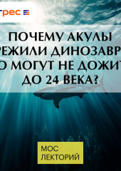 Почему акулы пережили динозавров, но могут не дожить до 24 века?