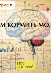 Чем кормить мозг?
