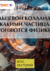 Кольцевой коллайдер - за какими частицами гоняются физики