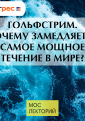 Гольфстрим. Почему замедляется самое мощное течение в мире?