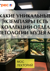 Какие уникальные экземпляры есть в коллекции отдела герпетологии музея МГУ?