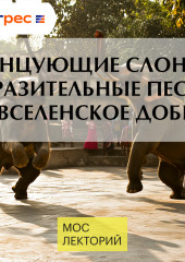 Танцующие слоны, заразительные песни и вселенское добро