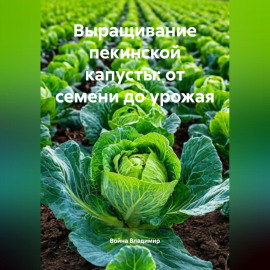 Выращивание пекинской капусты: от семени до урожая