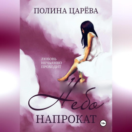 Небо напрокат