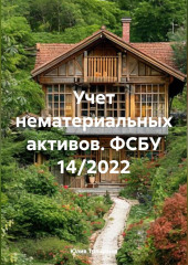 Учет нематериальных активов. ФСБУ 14/2022