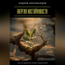 Энергия настойчивости. Как не сдаваться перед трудностями