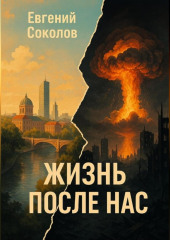 Роман ЖИЗНЬ ПОСЛЕ НАС