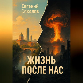 Роман ЖИЗНЬ ПОСЛЕ НАС