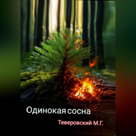Одинокая сосна