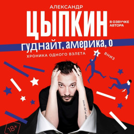 Гуднайт, Америка, о!