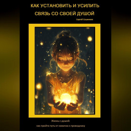Как установить и усилить связь со своей Душой. Жизнь с душой: как пройти путь от новичка к проводнику
