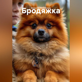 Бродяжка