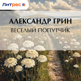 Весёлый попутчик