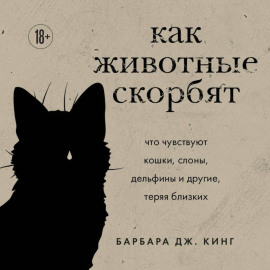 Как животные скорбят. Что чувствуют кошки, слоны, дельфины и другие, теряя близких