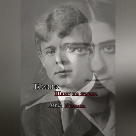 Есенин. Шанс на жизнь