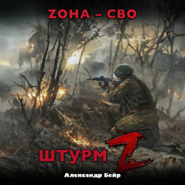 Штурм Z. ЗОНА – СВО