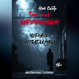 Тень над Зареченском. Черные невидимки