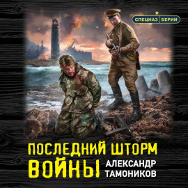 Последний шторм войны