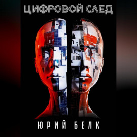 Цифровой след