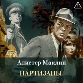 Партизаны
