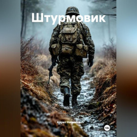 Штурмовик