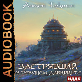 Застрявший. Книга 4. Застрявший в Ревущем лабиринте