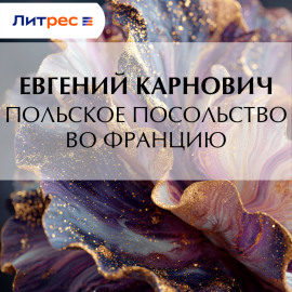 Польское посольство во Францию