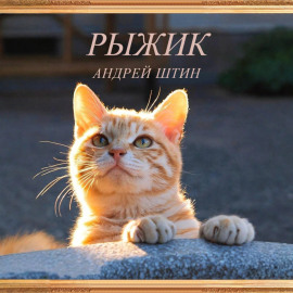 Рыжик