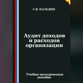 Аудит доходов и расходов организации